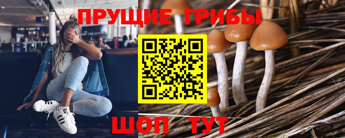 Галлюциногенные грибы мухоморы  Вход с VPN  Новый Уренгой 