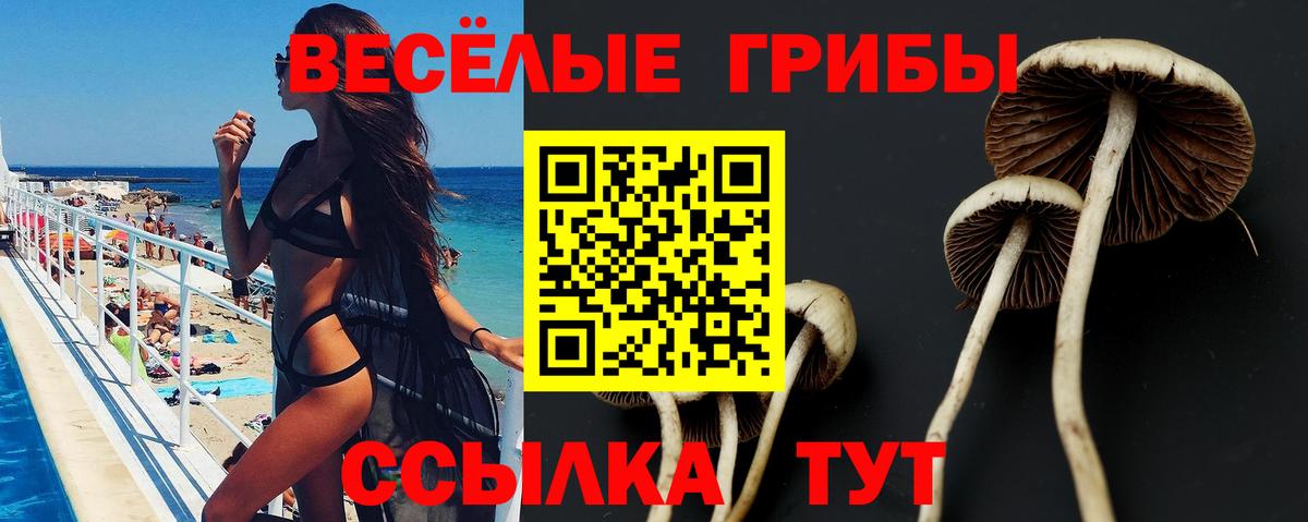 Галлюциногенные грибы Magic Shrooms Новый Уренгой